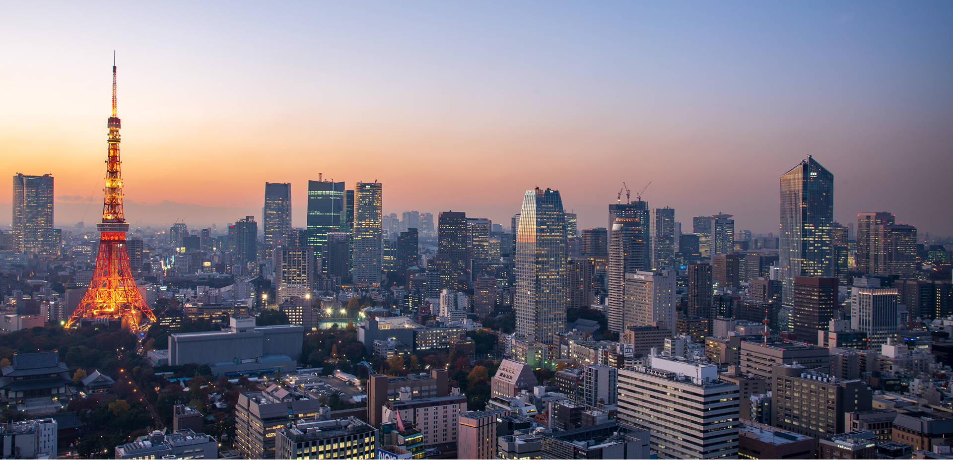 人材×M＆A金融業界に特化したクロスボーダー支援